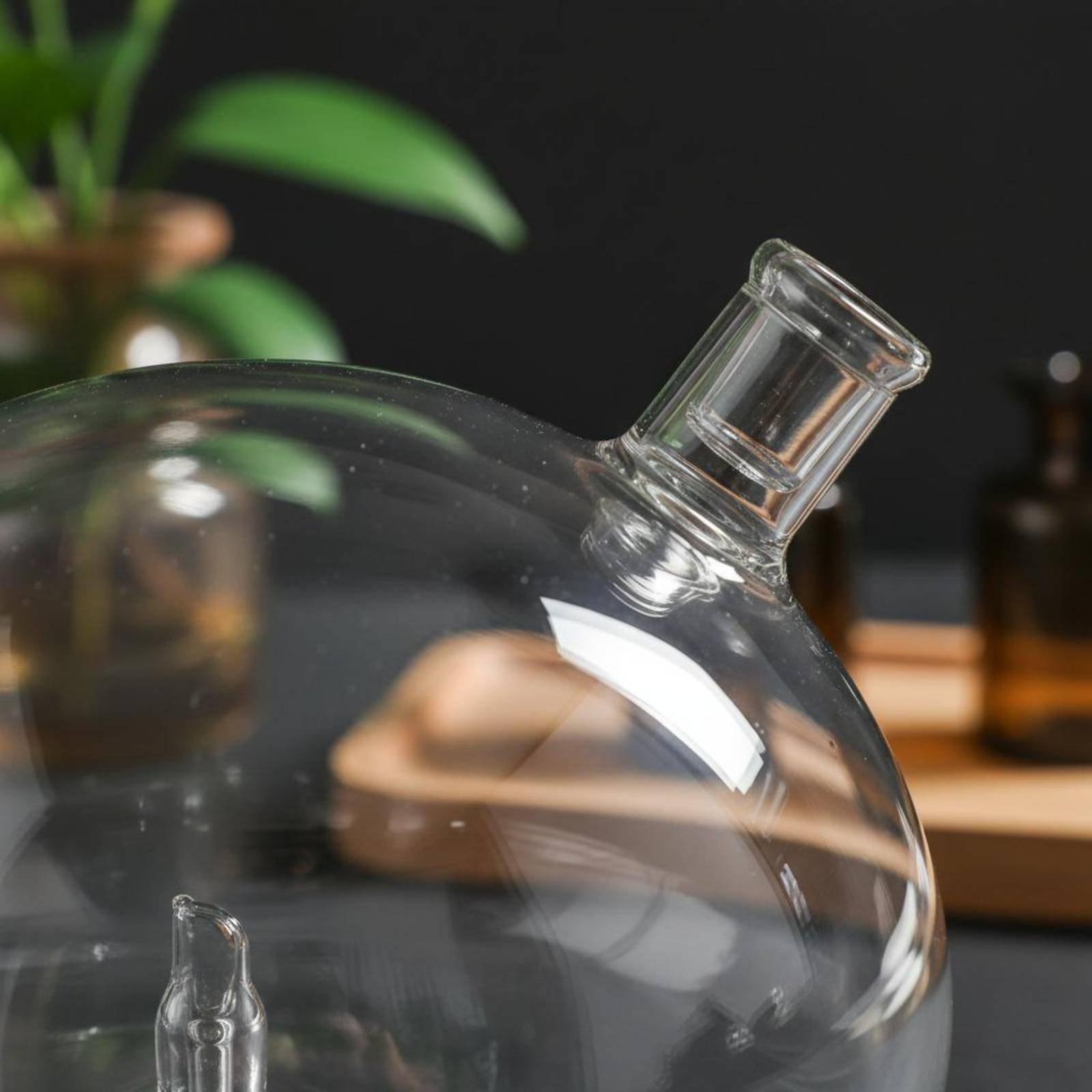 ขวดดิฟฟิวเซอร์แบบแก้ว ใช้แทนได - Home Fragrance Diffuser บทวิจารณ์และราคา